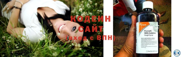 ПСИЛОЦИБИНОВЫЕ ГРИБЫ Вязьма
