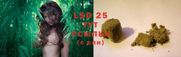 ПСИЛОЦИБИНОВЫЕ ГРИБЫ Вязьма