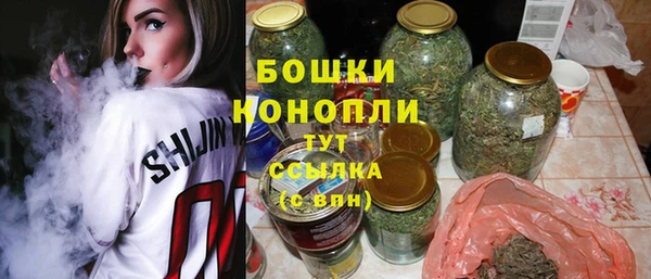 ПСИЛОЦИБИНОВЫЕ ГРИБЫ Вязьма