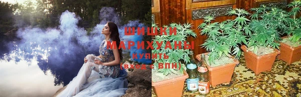 ПСИЛОЦИБИНОВЫЕ ГРИБЫ Вязьма
