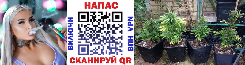 Канабис Amnesia  Яранск 